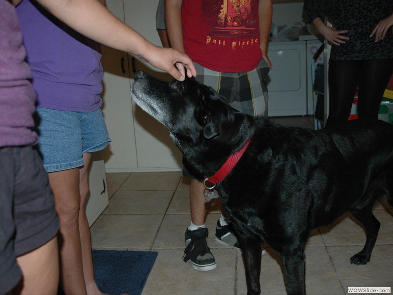 Casey wants FOOOD!!!!